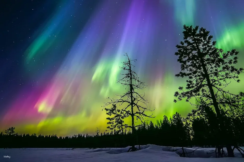 Private Arctic Forest Sauna and Jacuzzi with Northern Lights | Finland