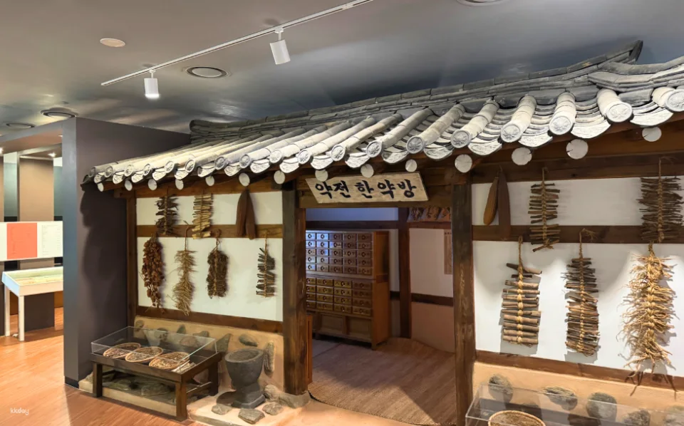[Seoul/Dongdaemun]1 Day Korean Herbal Tea Class : Best Korean Medicine Experience in Seoul