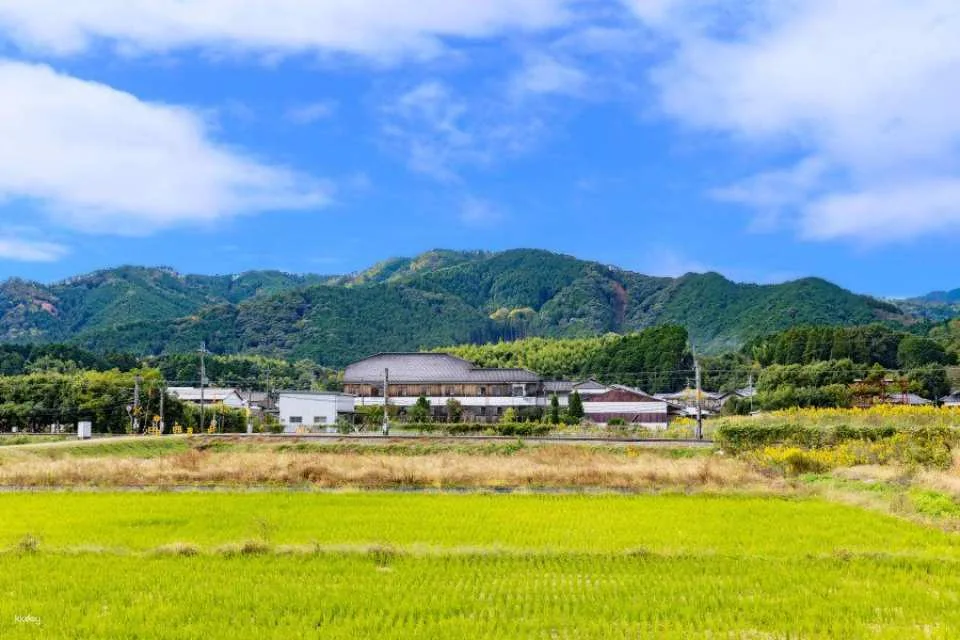 Nishiyama Brewery  Tour of a sake brewery associated with literary figures and pairing experience