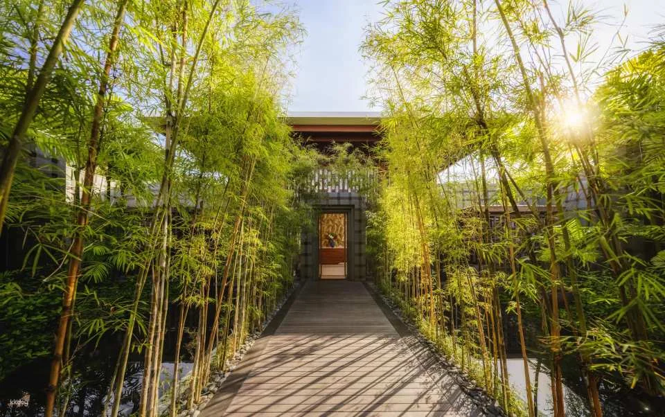 Spa Experience at Regent Bali Canggu (573720)