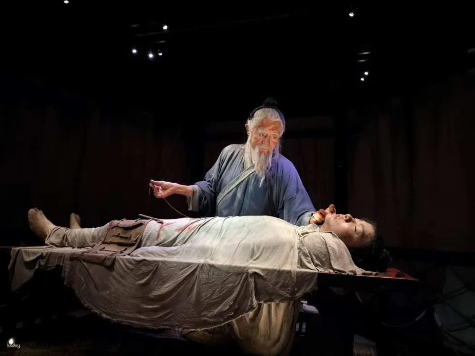 [Zhuhai, China] Hengqin Traditional Chinese Medicine Culture Popular Science Experience Hall | Admission Ticket | New Landmark of Hengqin and Macau, National-level Traditional Chinese Medicine Think Tank