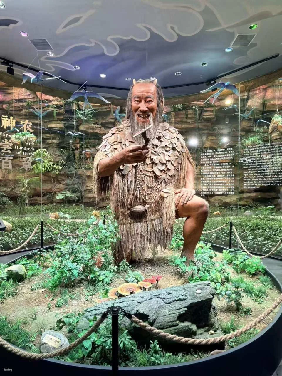 [Zhuhai, China] Hengqin Traditional Chinese Medicine Culture Popular Science Experience Hall | Admission Ticket | New Landmark of Hengqin and Macau, National-level Traditional Chinese Medicine Think Tank