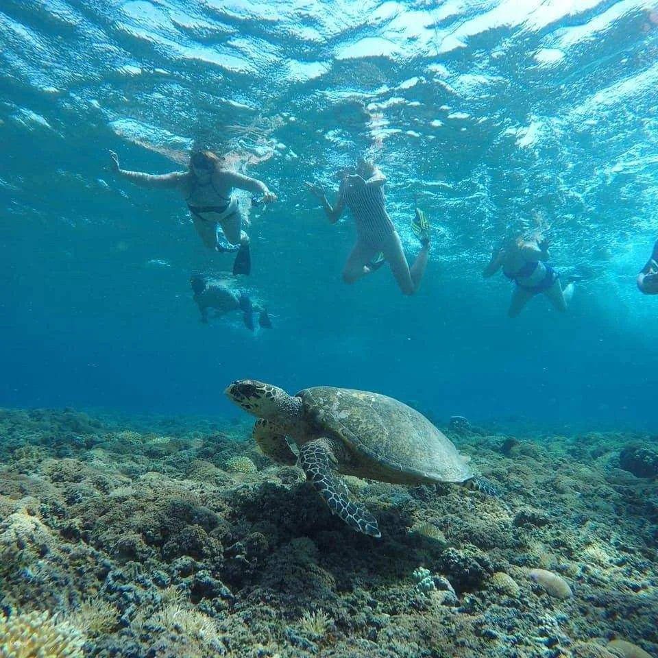 Bali Iconic Photo Tour | Gate of Heaven + Blue Lagoon Snorkeling | Departure from Bali