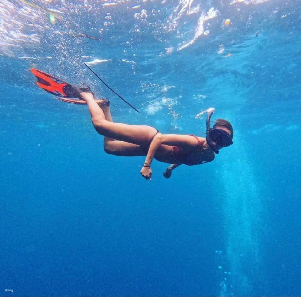 Bali Iconic Photo Tour | Gate of Heaven + Blue Lagoon Snorkeling | Departure from Bali