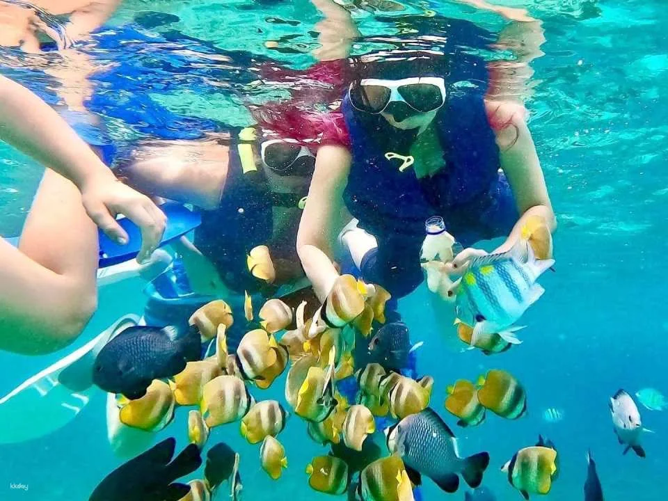 Bali Iconic Photo Tour | Gate of Heaven + Blue Lagoon Snorkeling | Departure from Bali
