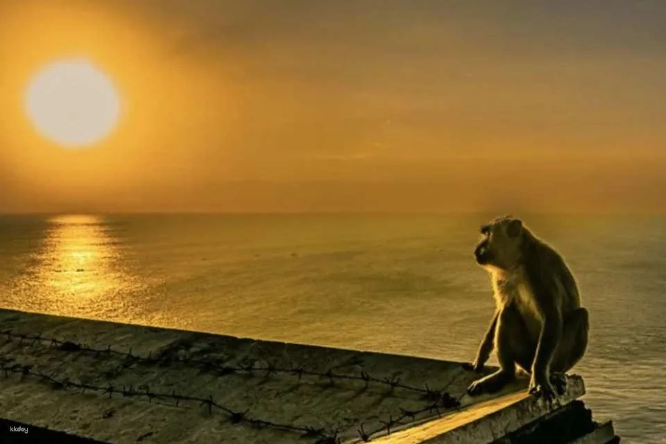 Uluwatu Sunset Experience & Kecak Fire Dance with Hotel Transfer