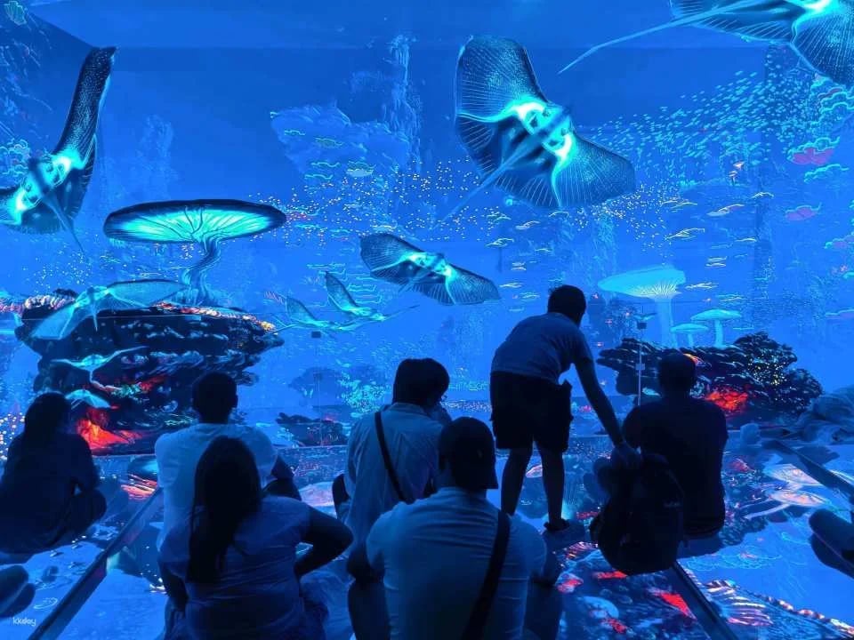 Cave Fantasy Admission Ticket | Bangkok