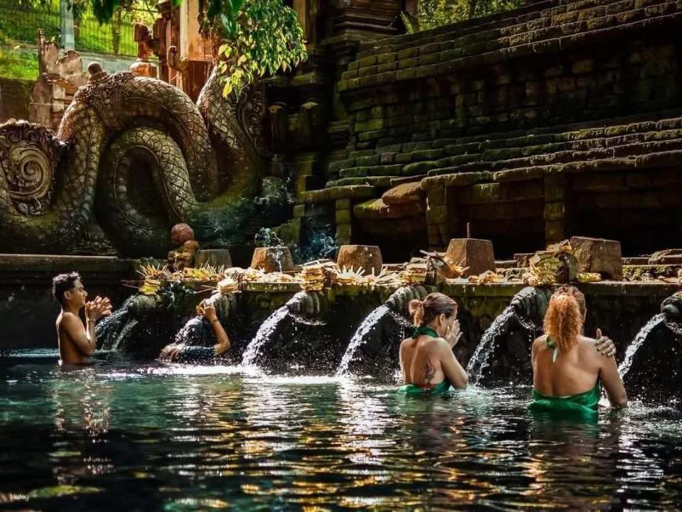 Tirta Empul Melukat Experience with Optional Swing & Coffee Plantation