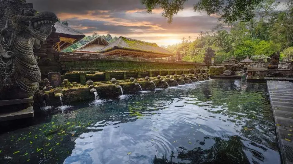 Tirta Empul Melukat Experience with Optional Swing & Coffee Plantation