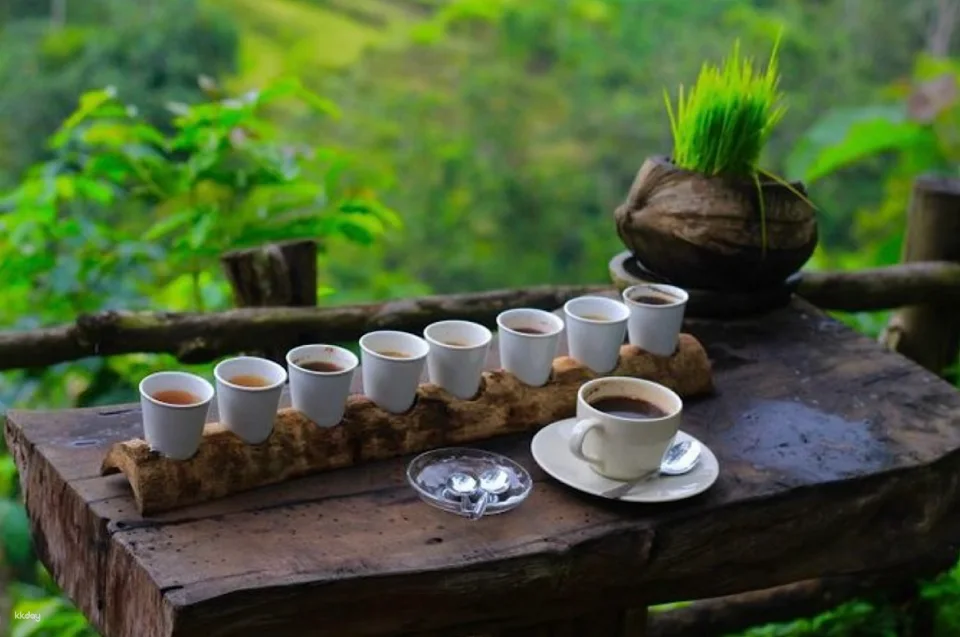 Tirta Empul Melukat Experience with Optional Swing & Coffee Plantation