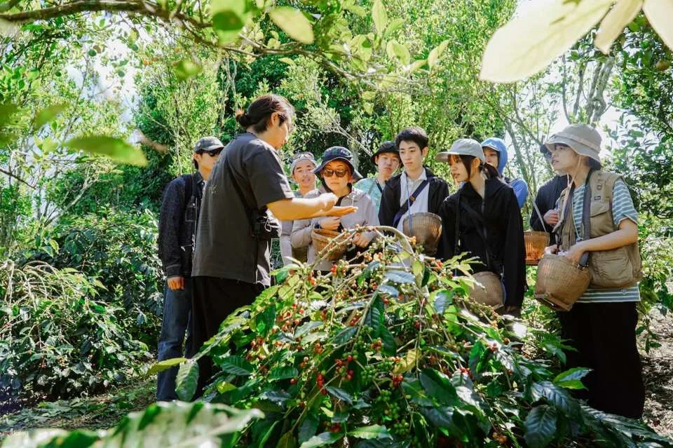 Bali Kintamani Coffee Culture Tour | Farm Walk, Roasting and Tasting | Departure from Bali
