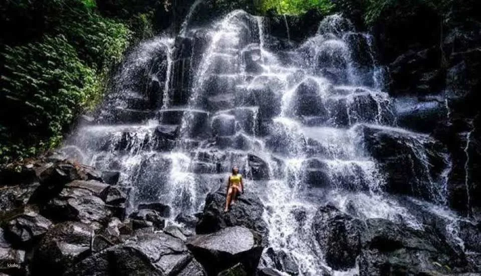 Ubud Private Full Day Tour - waterfall Rice terace & Temple