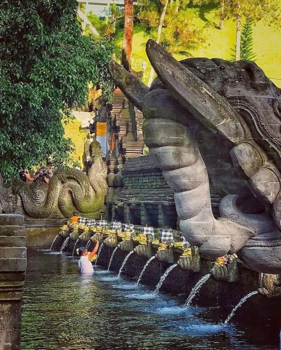 Ubud Private Full Day Tour - waterfall Rice terace & Temple