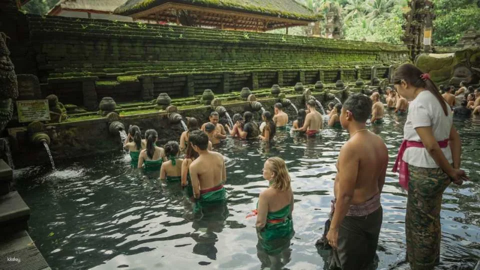 Ubud Private Full Day Tour - waterfall Rice terace & Temple