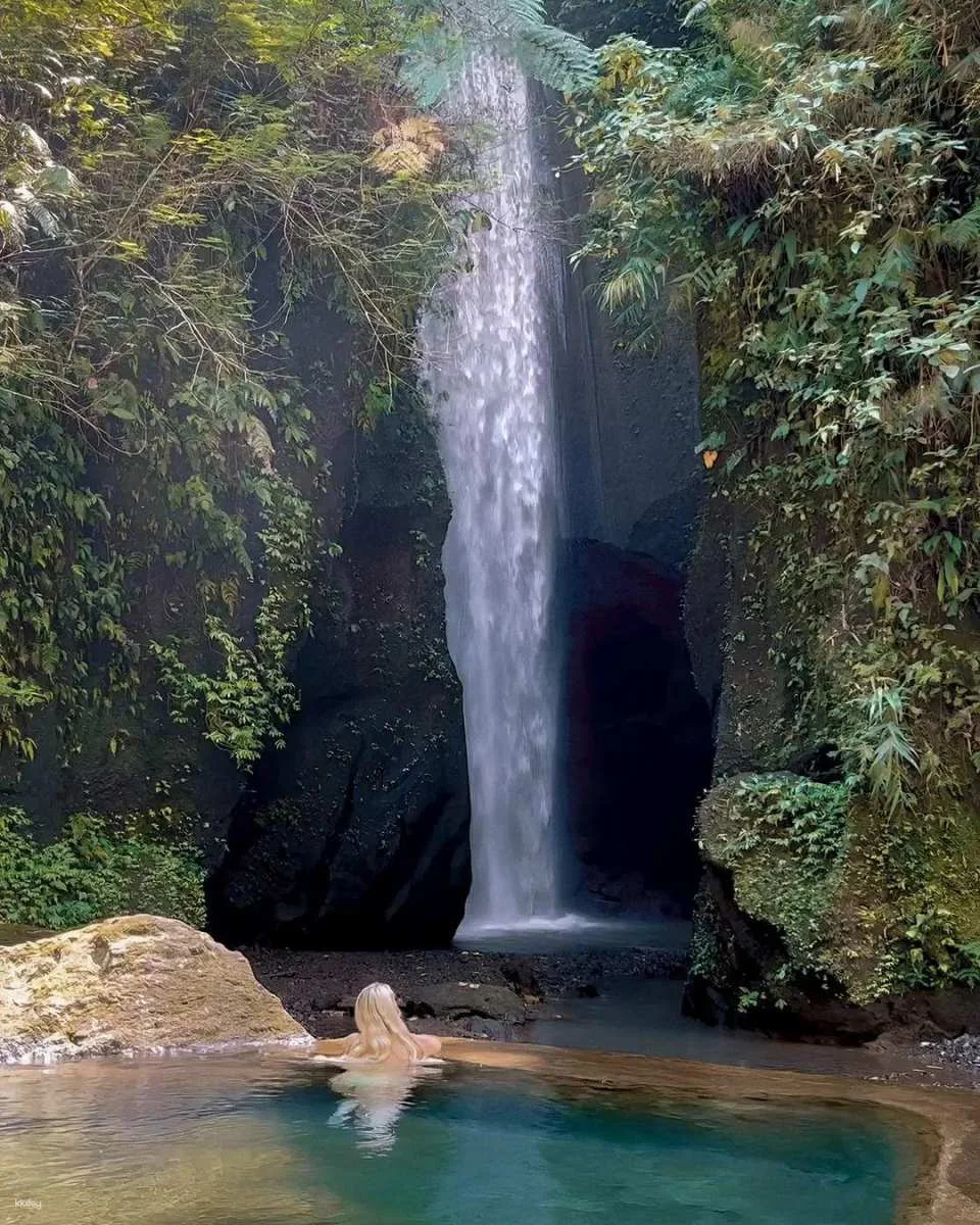 Ubud Private Full Day Tour - waterfall Rice terace & Temple