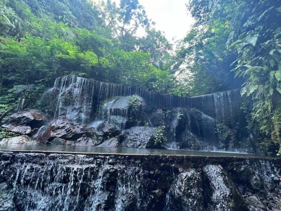 Ubud Private Full Day Tour - waterfall Rice terace & Temple