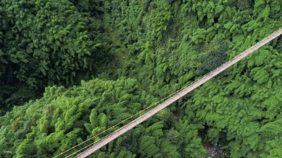 Chengdu, Sichuan | Western Sichuan Bamboo Sea Scenic Area (574805)