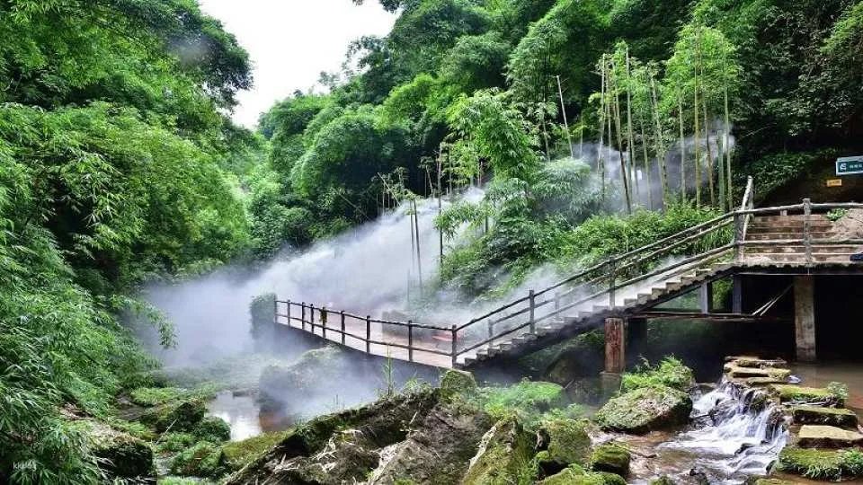 Chengdu, Sichuan | Western Sichuan Bamboo Sea Scenic Area