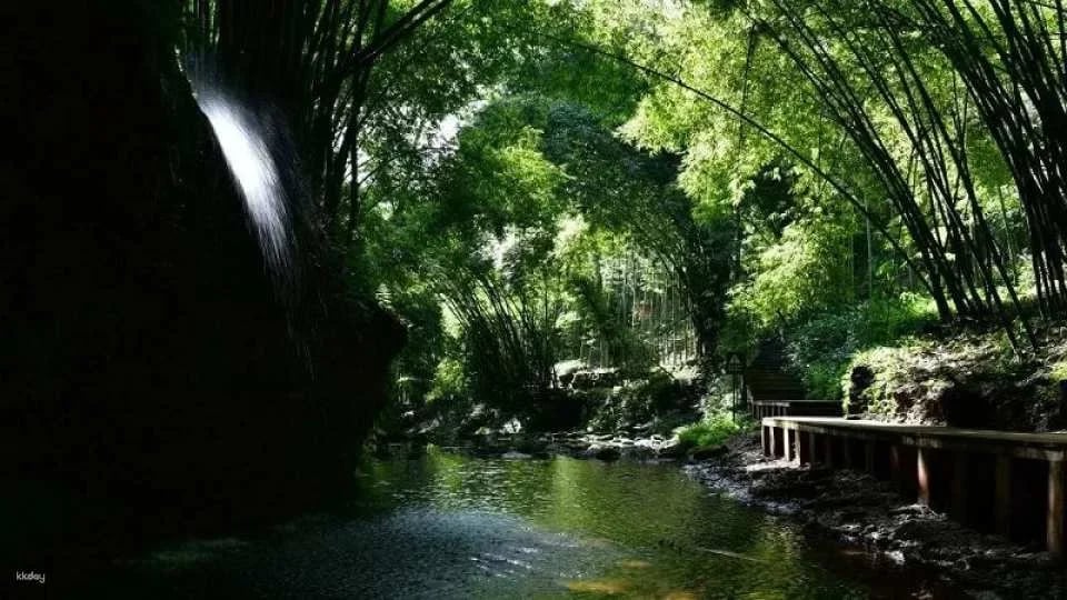 Chengdu, Sichuan | Western Sichuan Bamboo Sea Scenic Area