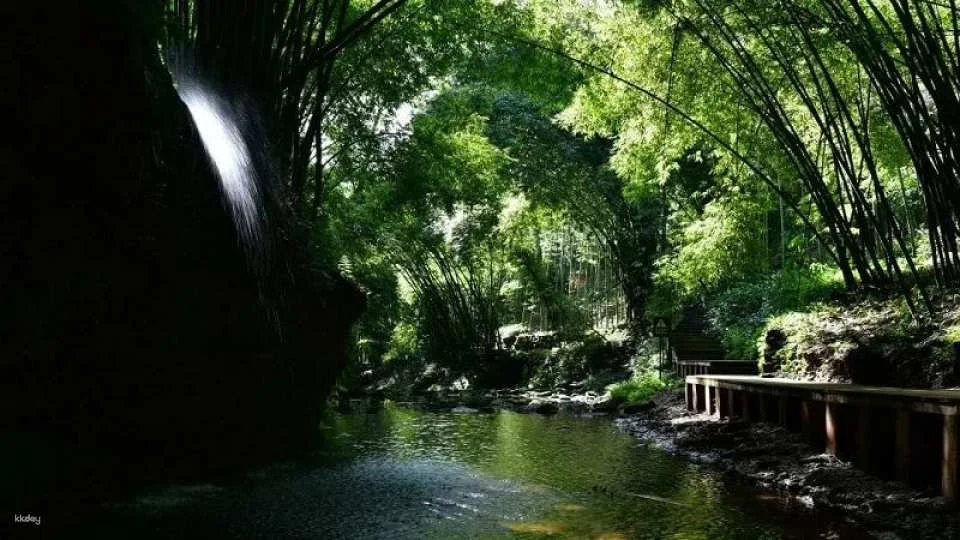 Chengdu, Sichuan | Western Sichuan Bamboo Sea Scenic Area