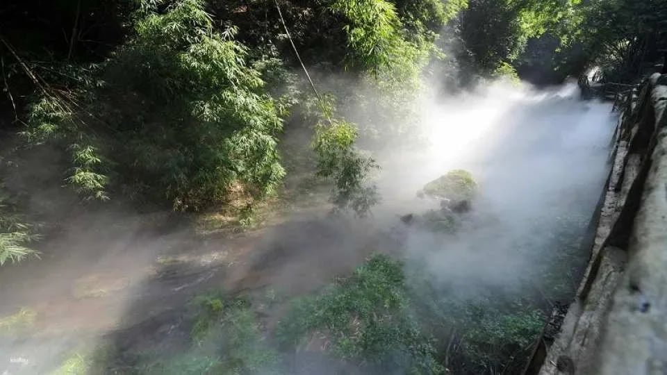 Chengdu, Sichuan | Western Sichuan Bamboo Sea Scenic Area
