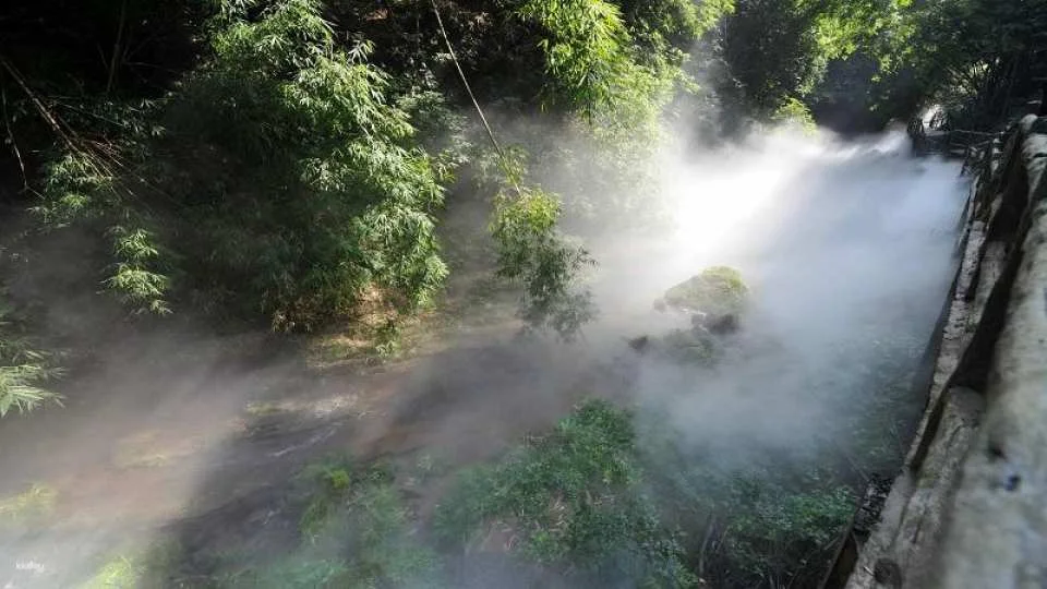Chengdu, Sichuan | Western Sichuan Bamboo Sea Scenic Area