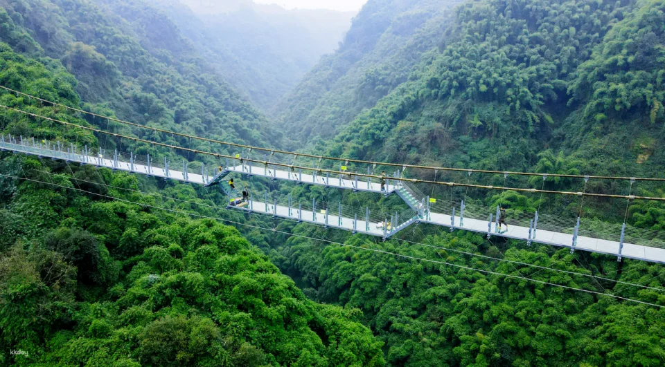 Chengdu, Sichuan | Western Sichuan Bamboo Sea Scenic Area