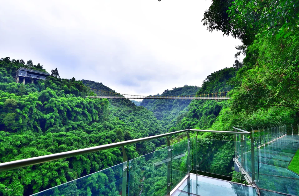Chengdu, Sichuan | Western Sichuan Bamboo Sea Scenic Area