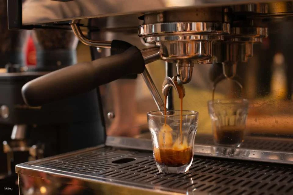 Hanoi Specialty Coffee Workshop: Espresso, Pour-over & Latte Art with Hands-On Barista Training