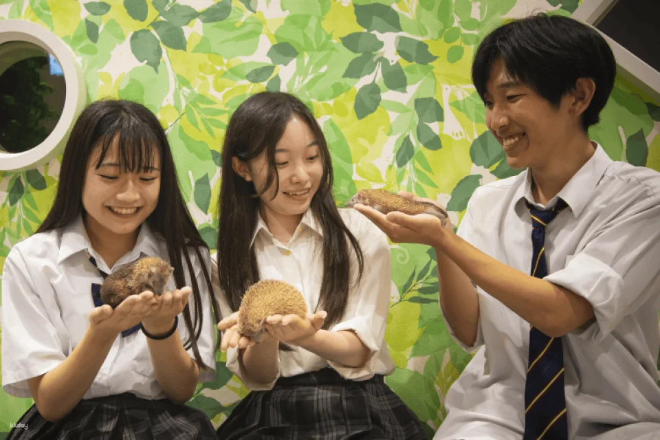 Tokyo, Japan | Anitouch AQUACITY Odaiba Indoor Animal Interaction Experience Tickets