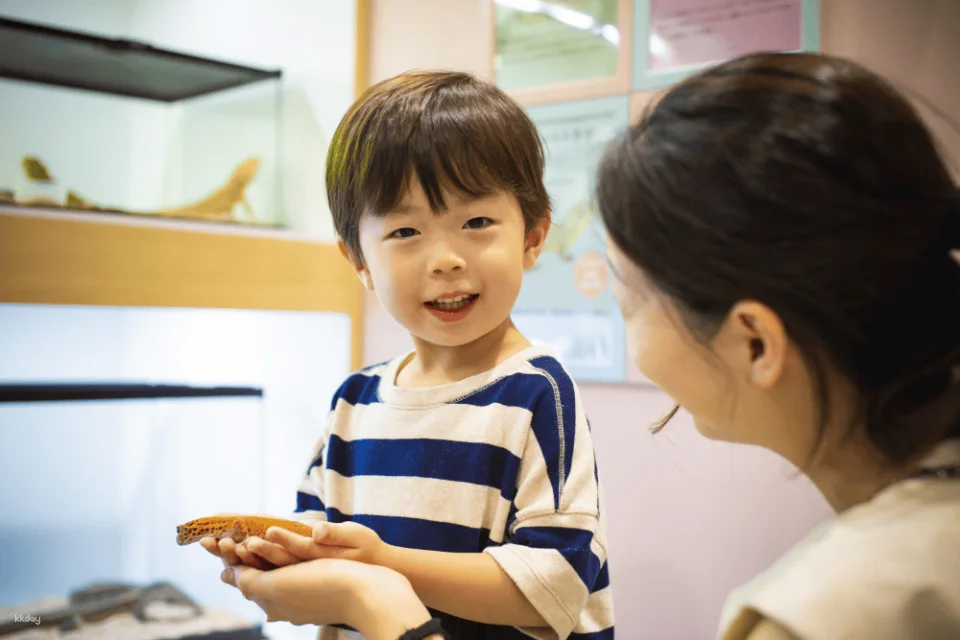 Tokyo, Japan | Anitouch AQUACITY Odaiba Indoor Animal Interaction Experience Tickets