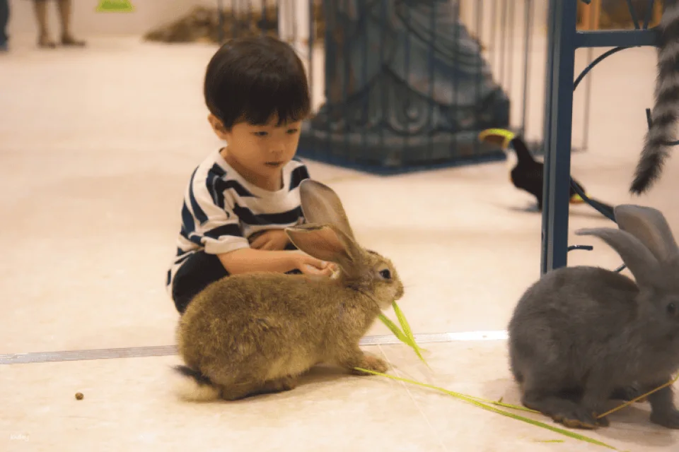 Tokyo, Japan | Anitouch AQUACITY Odaiba Indoor Animal Interaction Experience Tickets