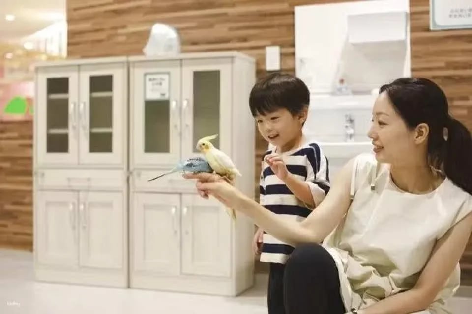 Tokyo, Japan | Anitouch AQUACITY Odaiba Indoor Animal Interaction Experience Tickets
