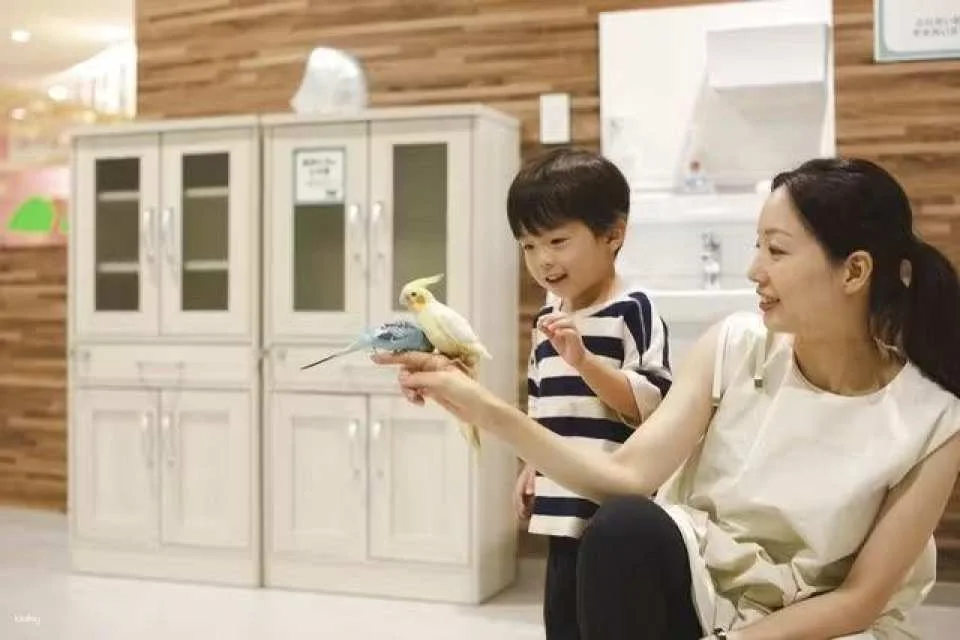 Tokyo, Japan | Anitouch AQUACITY Odaiba Indoor Animal Interaction Experience Tickets