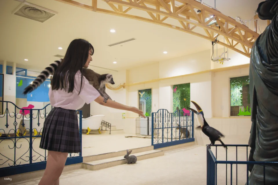 Tokyo, Japan | Anitouch AQUACITY Odaiba Indoor Animal Interaction Experience Tickets