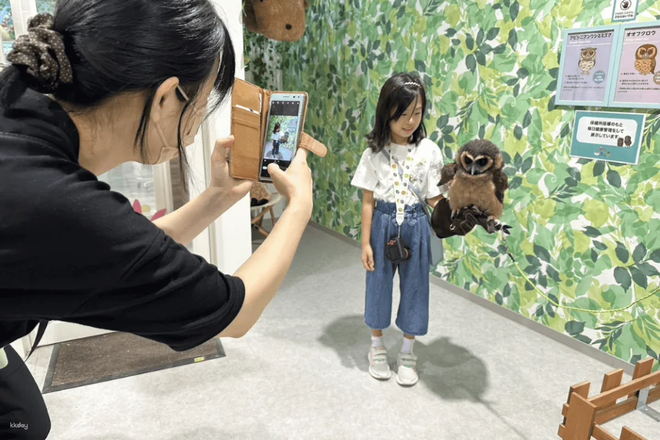Tokyo, Japan | Anitouch AQUACITY Odaiba Indoor Animal Interaction Experience Tickets