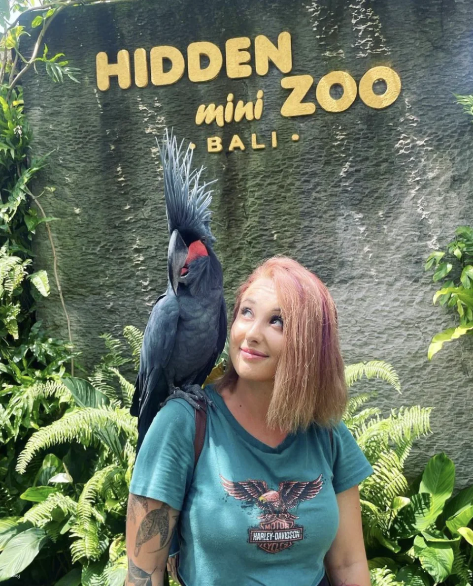 Bali Hidden Mini Zoo Attraction Ticket Entrance & Full Package Experience