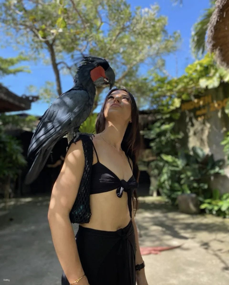 Bali Hidden Mini Zoo Attraction Ticket Entrance & Full Package Experience