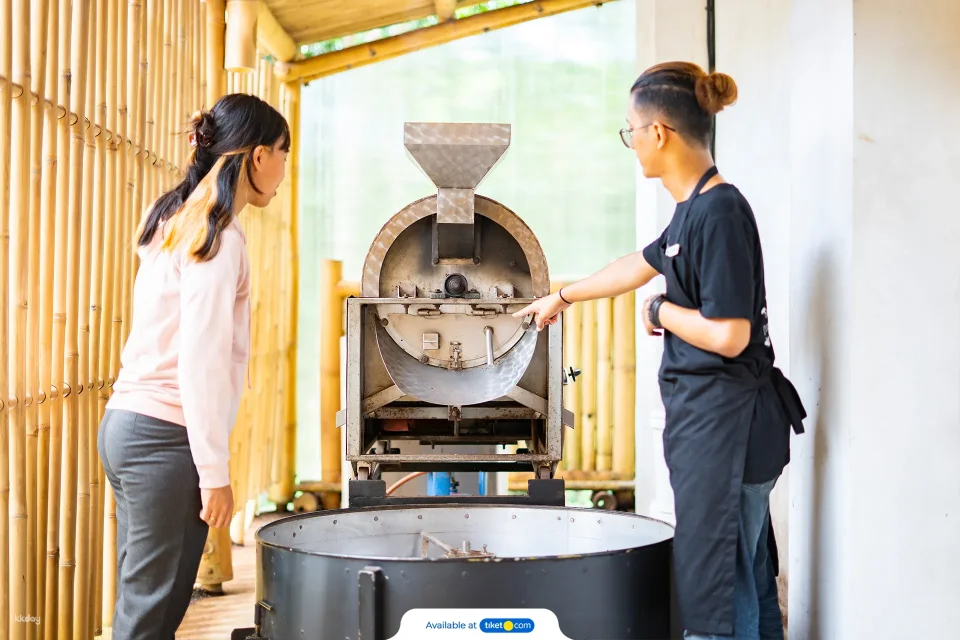 Bali Junglegold Chocolate Making Class | Include Tasting & Factory Tour | Departure from Bali