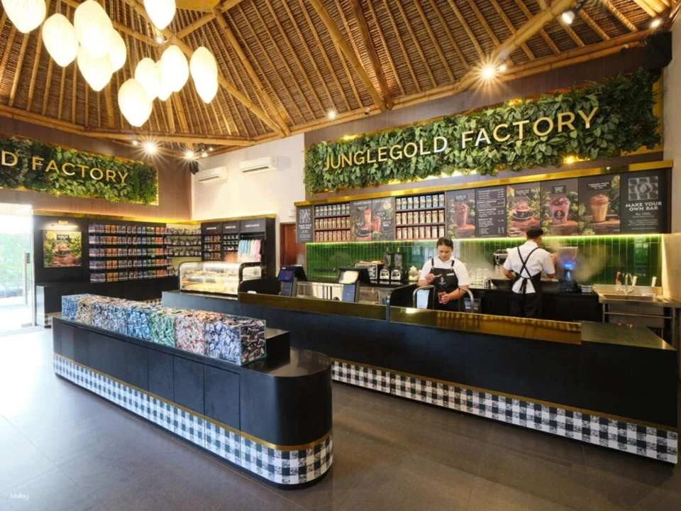 Bali Junglegold Chocolate Making Class | Include Tasting & Factory Tour | Departure from Bali