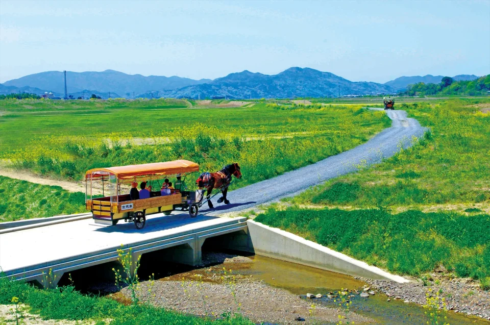 Kyoto Kameoka-kyo Horse-Drawn Carriage Tour | A Leisurely Horse-Drawn Carriage Trip to the Hozu River Cruise Pier