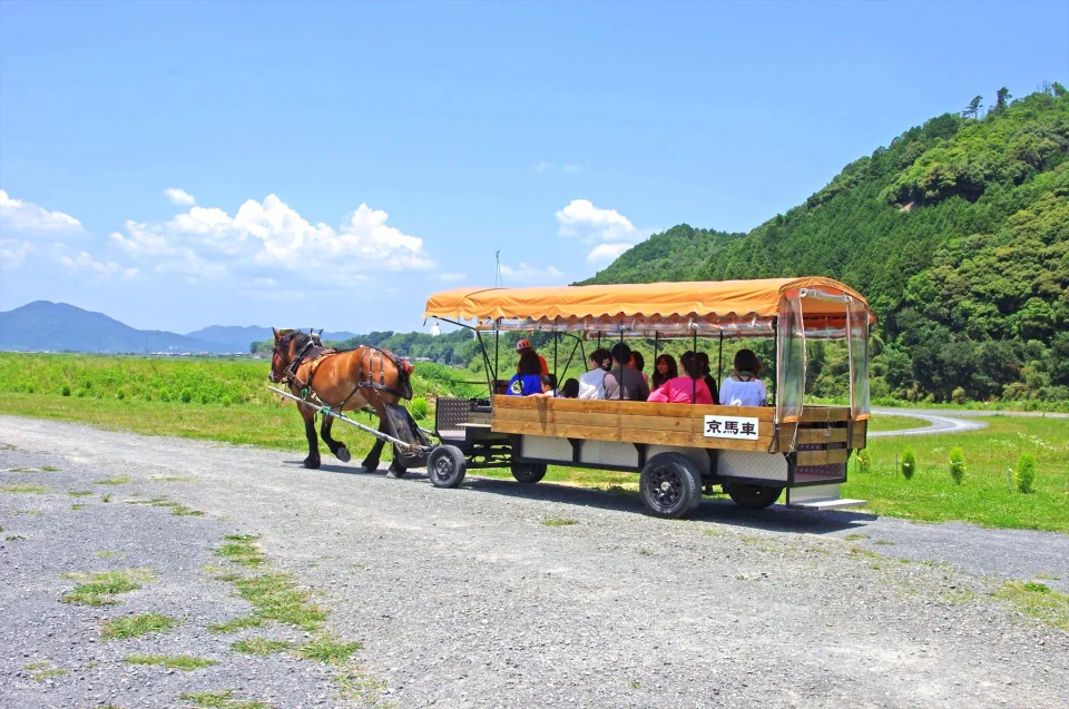 Kyoto Kameoka-kyo Horse-Drawn Carriage Tour | A Leisurely Horse-Drawn Carriage Trip to the Hozu River Cruise Pier