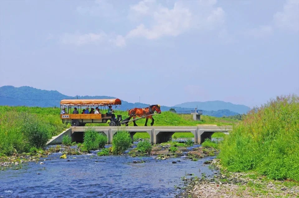 Kyoto Kameoka-kyo Horse-Drawn Carriage Tour | A Leisurely Horse-Drawn Carriage Trip to the Hozu River Cruise Pier