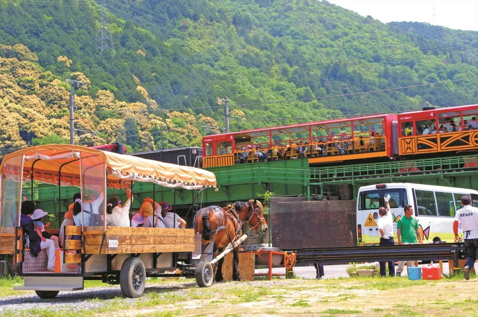 Kyoto Kameoka-kyo Horse-Drawn Carriage Tour | A Leisurely Horse-Drawn Carriage Trip to the Hozu River Cruise Pier