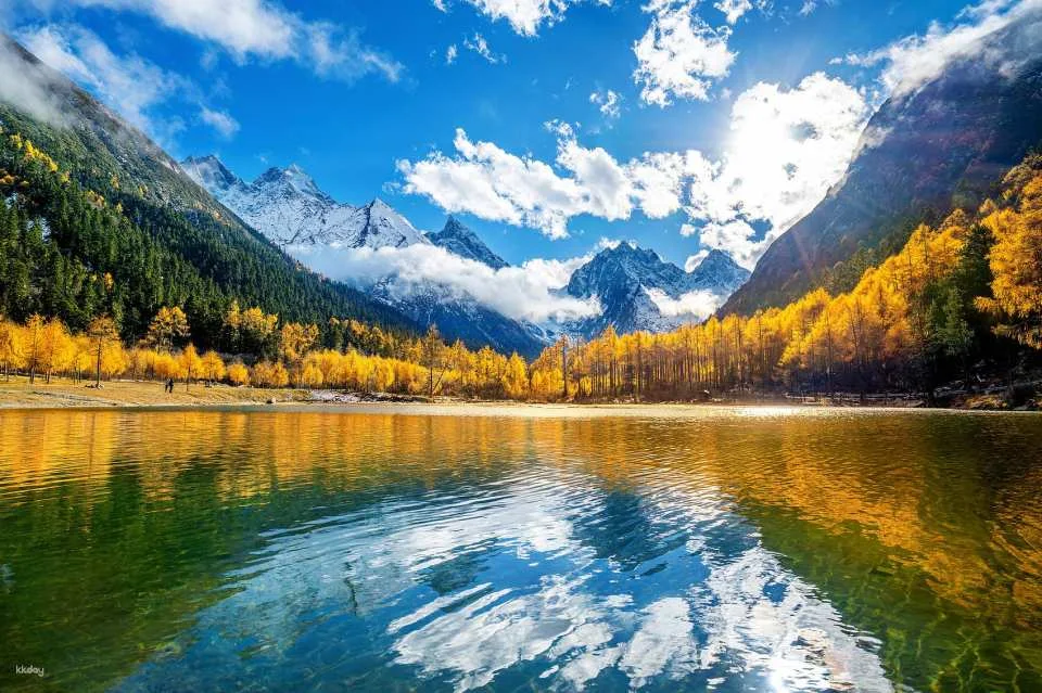 Bipenggou Scenic Area Admission Ticket and Sightseeing Bus Package, Aba Prefecture, Sichuan, China (575329)