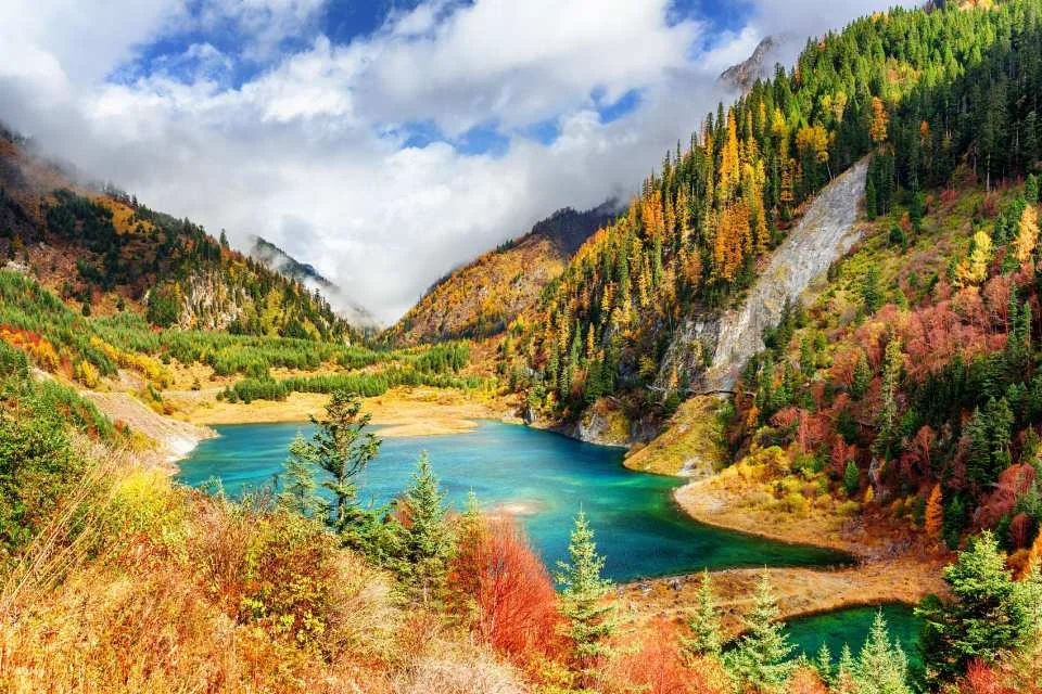Bipenggou Scenic Area Admission Ticket and Sightseeing Bus Package, Aba Prefecture, Sichuan, China