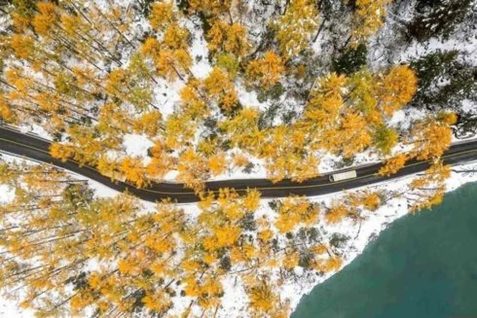 Bipenggou Scenic Area Admission Ticket and Sightseeing Bus Package, Aba Prefecture, Sichuan, China