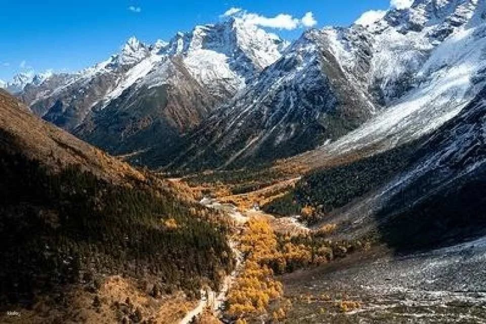 Bipenggou Scenic Area Admission Ticket and Sightseeing Bus Package, Aba Prefecture, Sichuan, China