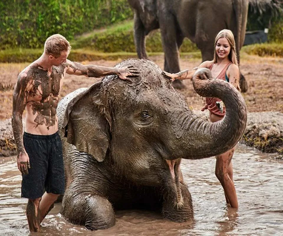 Bali Elephant Mud Fun Experience | Elephant Bathing & Interaction Tour | Departure from Bali