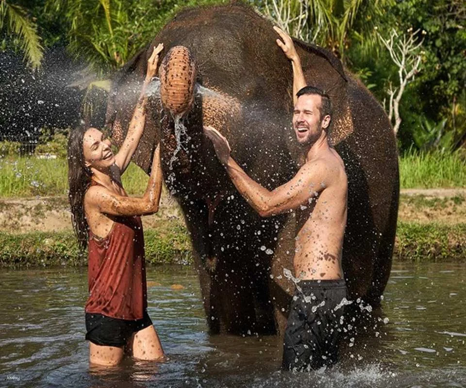 Bali Elephant Mud Fun Experience | Elephant Bathing & Interaction Tour | Departure from Bali